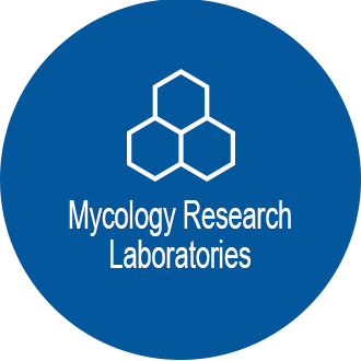 Logo Mycology Research Laboratories Ltd.